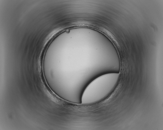 X0000112111082200908041147