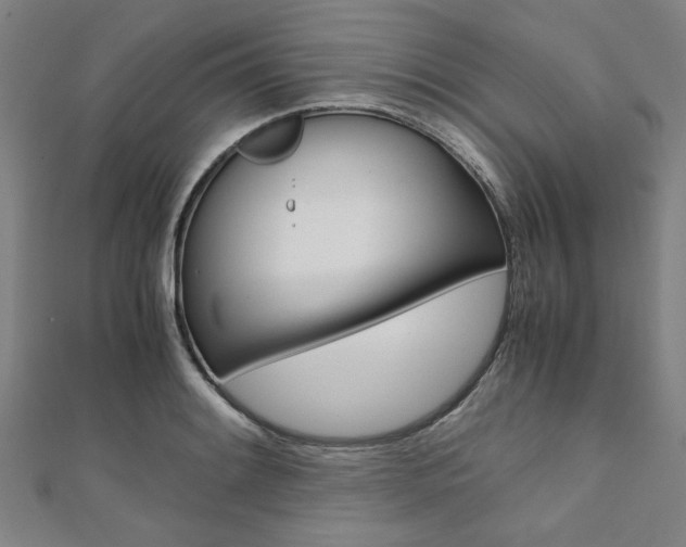 X0000112111084200908041147