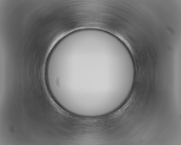 X0000112111085200908041147