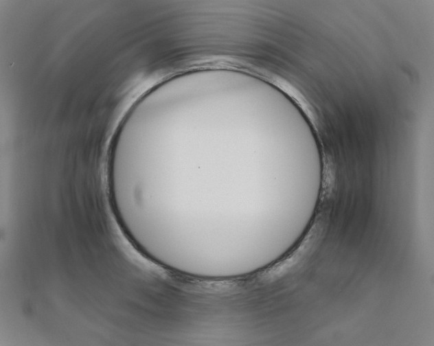 X0000112111090200908041146