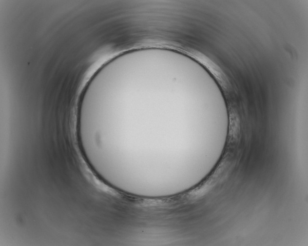 X0000112111094200908041146
