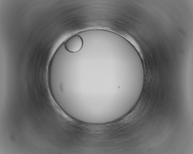 X0000112111096200908041146