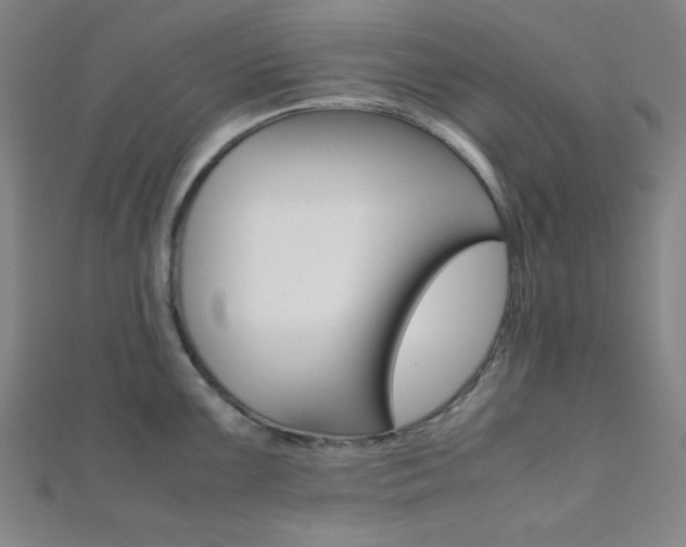 X0000112111099200908041146