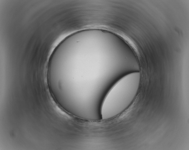 X0000112111102200908041146