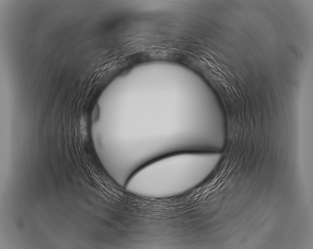X0000112111106200908041145