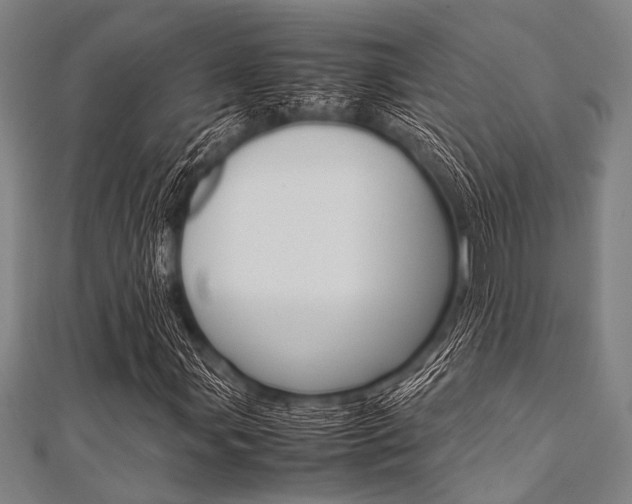 X0000112111107200908041145