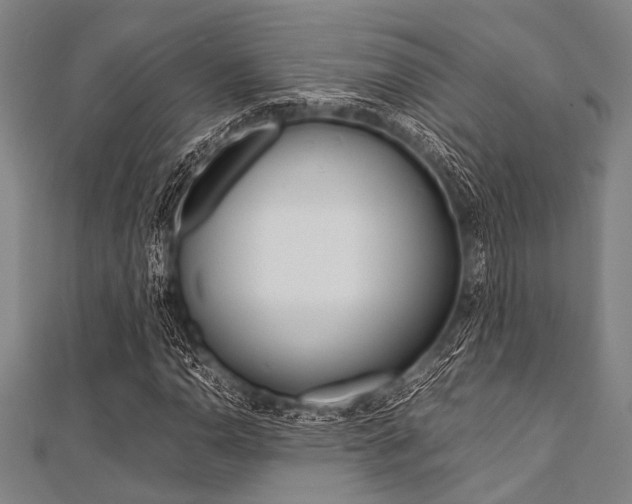 X0000112111110200908041146