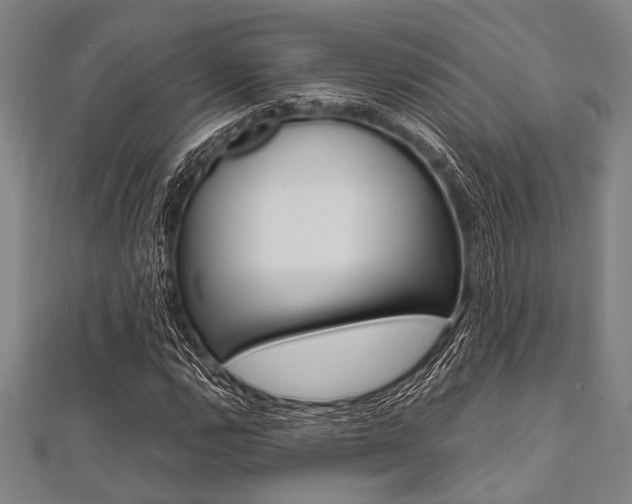 X0000112111112200908041146