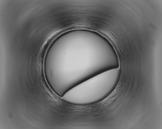 X0000112111115200908041146