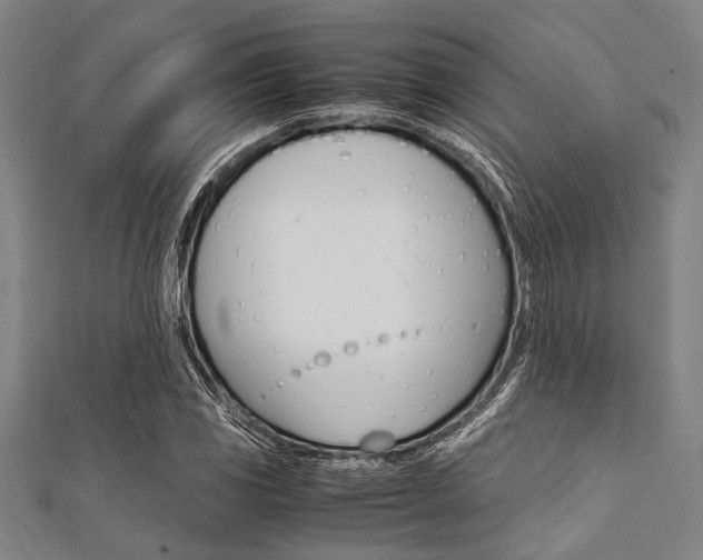 X0000112111117200908041146