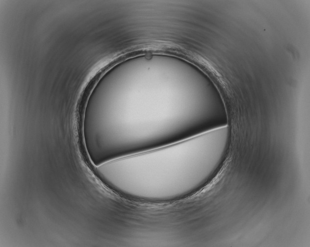 X0000112111122200908041146
