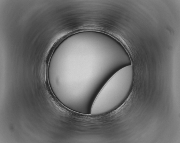 X0000112111123200908041146