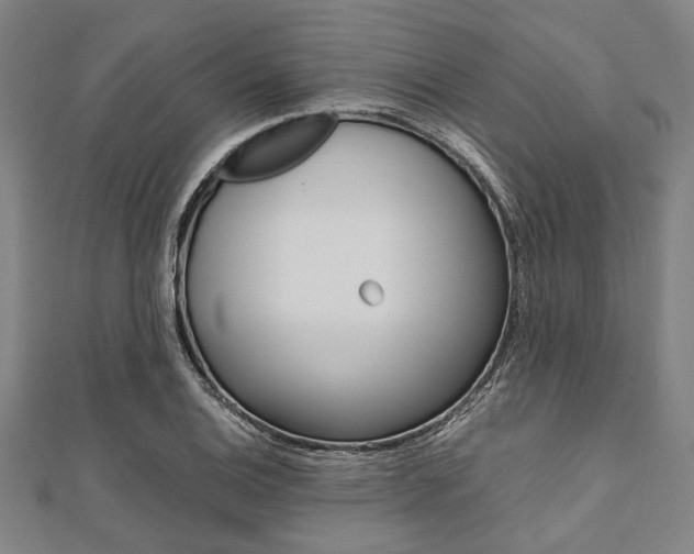 X0000112111124200908041146