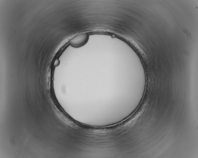 X0000112111126200908041146