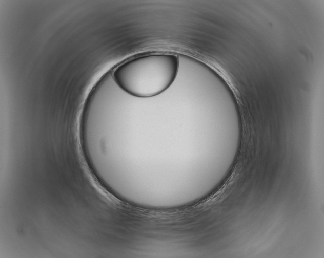 X0000112111128200908041146