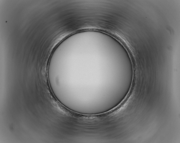 X0000112111129200908041146