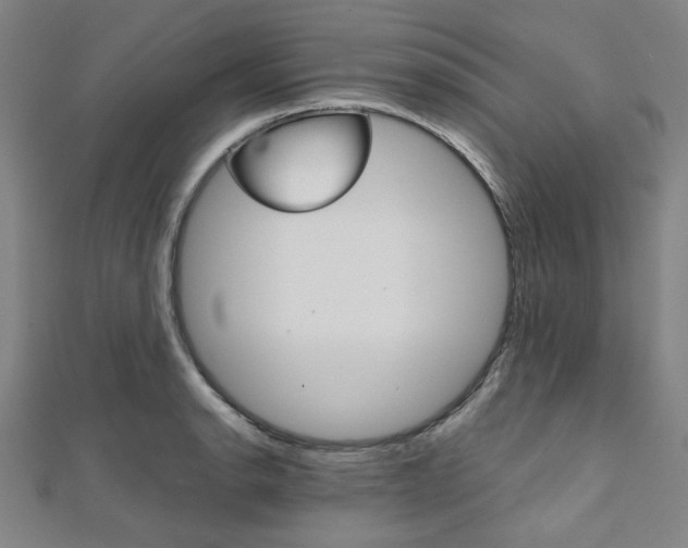 X0000112111134200908041146