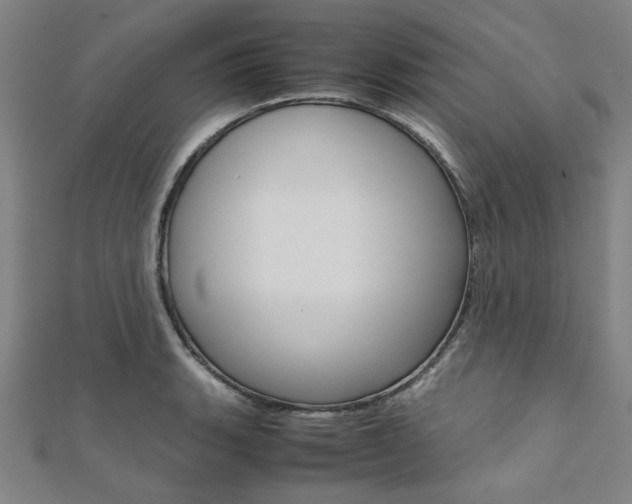 X0000112111135200908041146