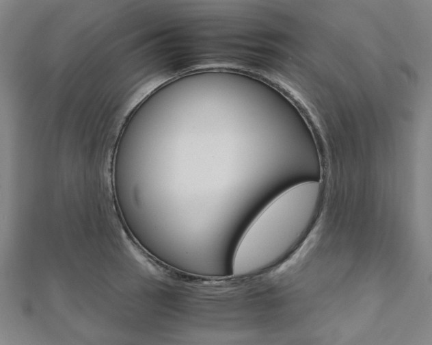 X0000112111137200908041146