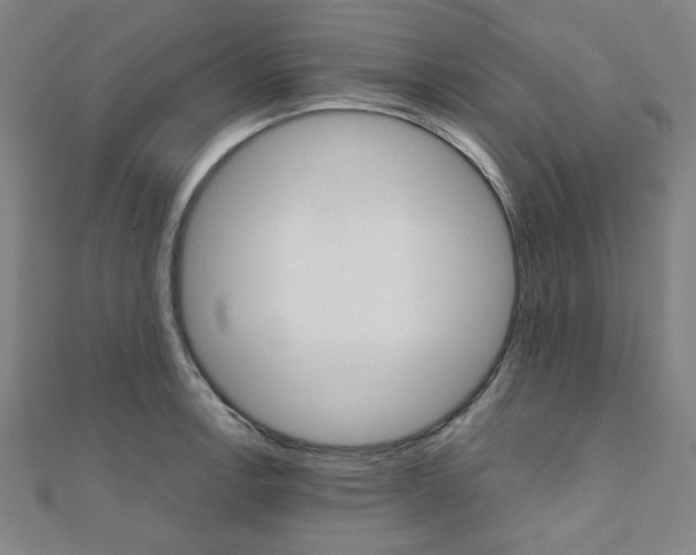 X0000112111138200908041146
