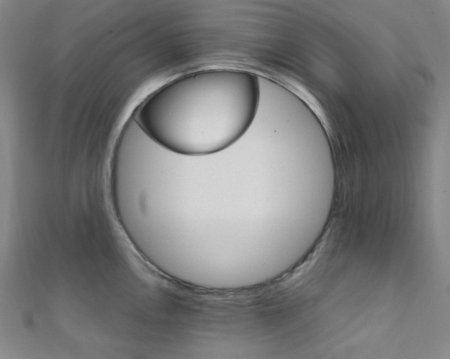 X0000112111146200908041146