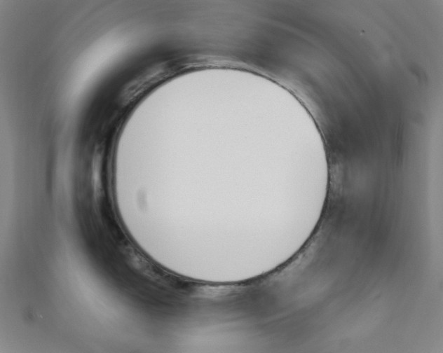 X0000112111150200908041146
