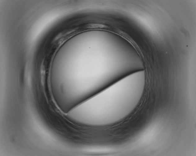 X0000112111151200908041146
