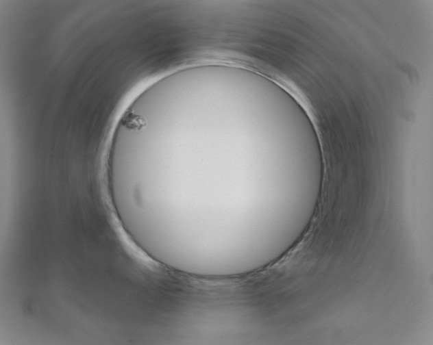 X0000112111152200908041146