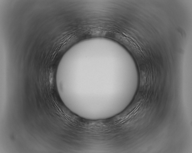 X0000112111154200908041145