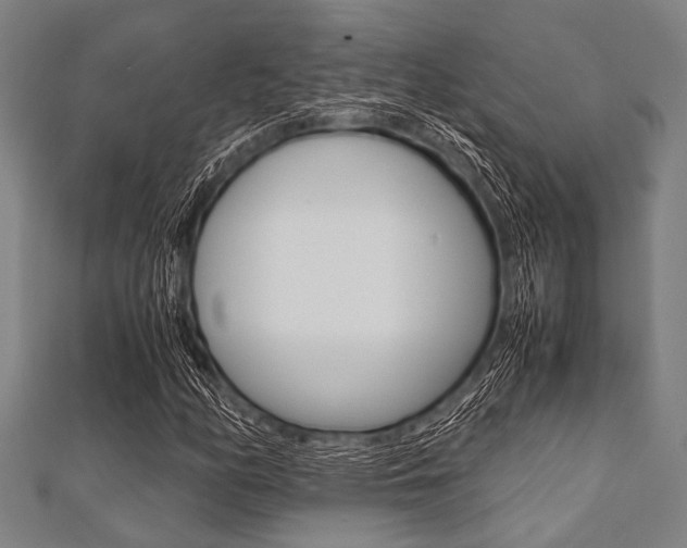 X0000112111158200908041145