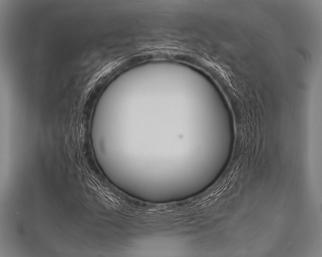 X0000112111159200908041145