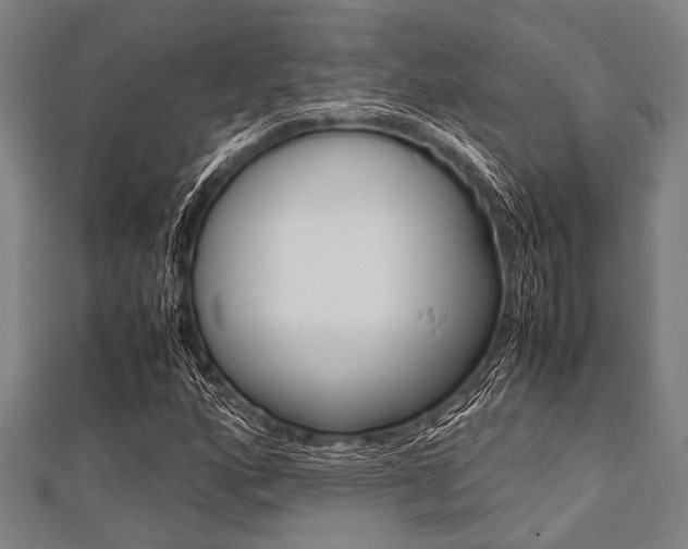 X0000112111160200908041145
