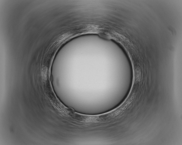 X0000112111161200908041145