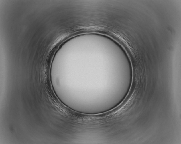 X0000112111163200908041145
