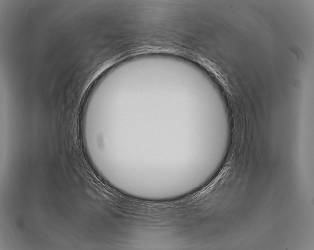 X0000112111165200908041145