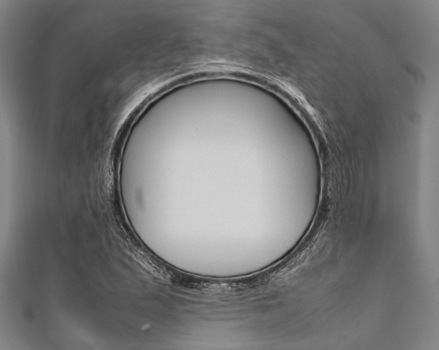 X0000112111167200908041145