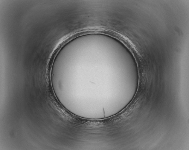 X0000112111168200908041145