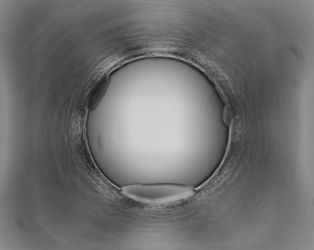 X0000112111169200908041145