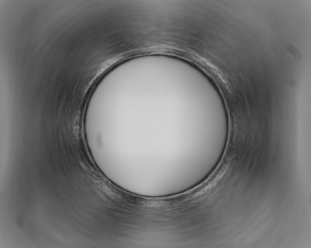 X0000112111170200908041145