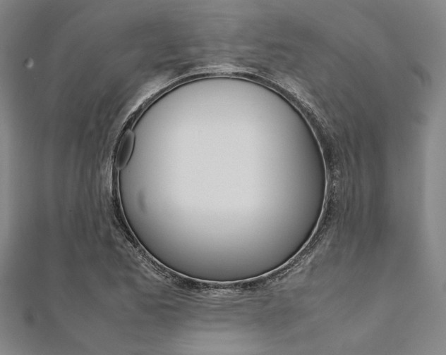 X0000112111173200908041145