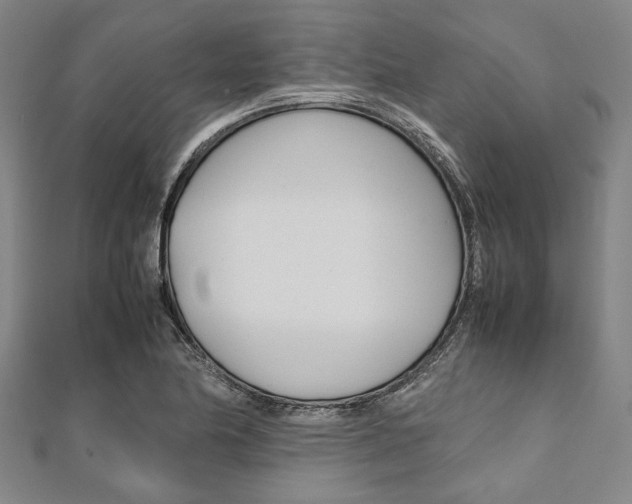 X0000112111174200908041145