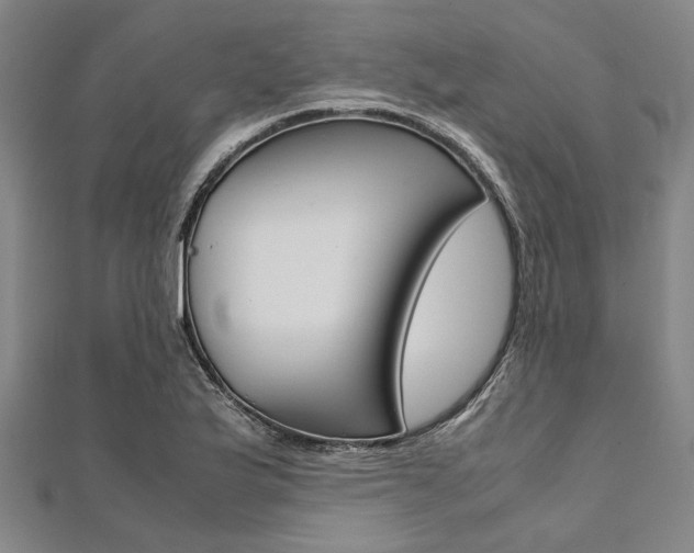 X0000112111175200908041145