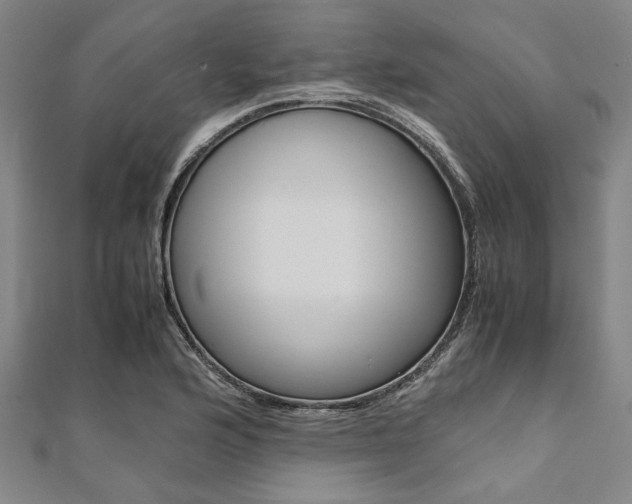 X0000112111176200908041145