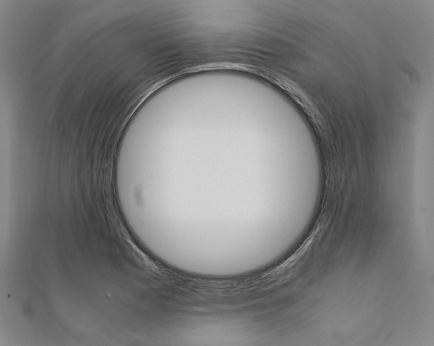 X0000112111177200908041145