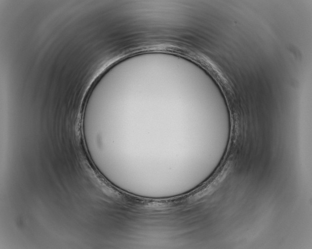 X0000112111178200908041145