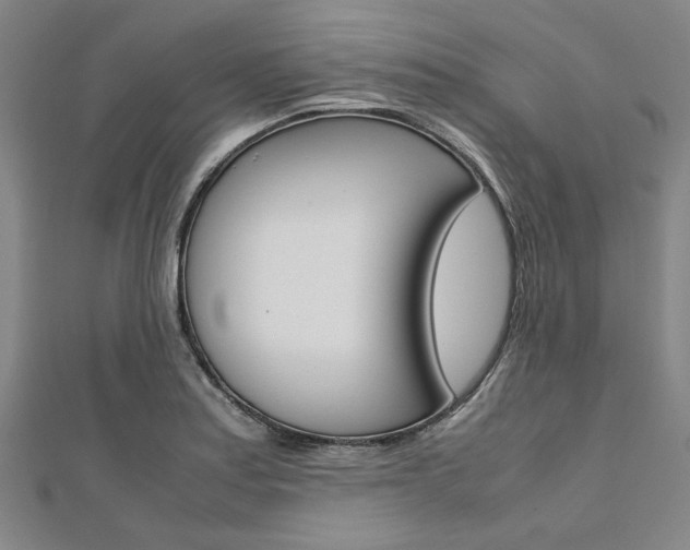 X0000112111179200908041145