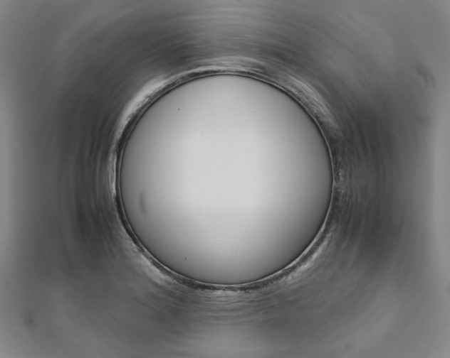 X0000112111180200908041145