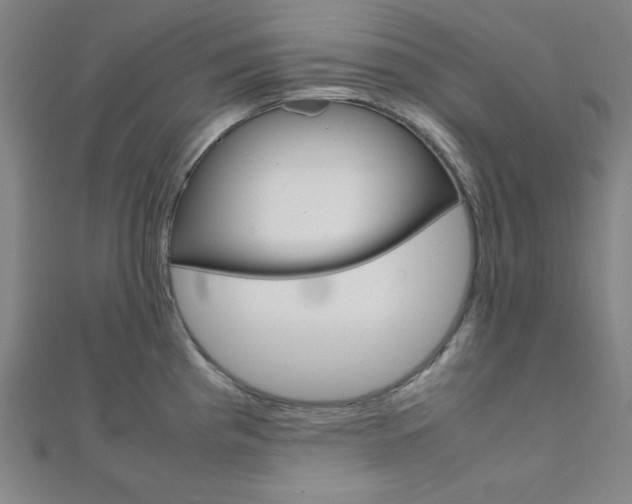 X0000112111193200908041145