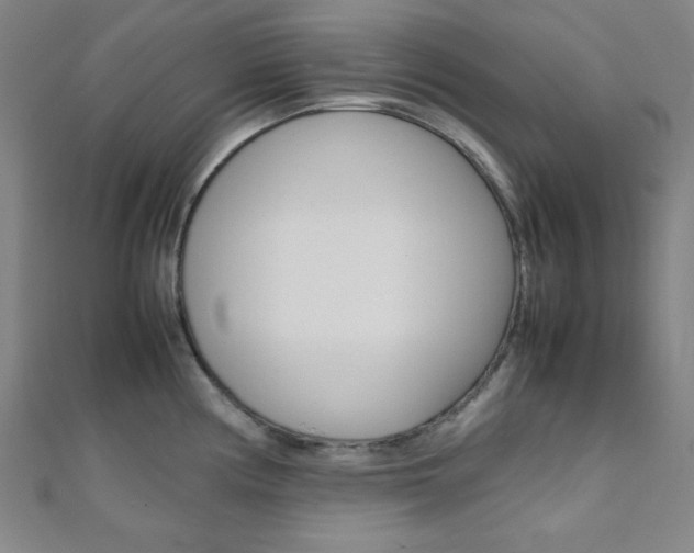 X0000112111194200908041145