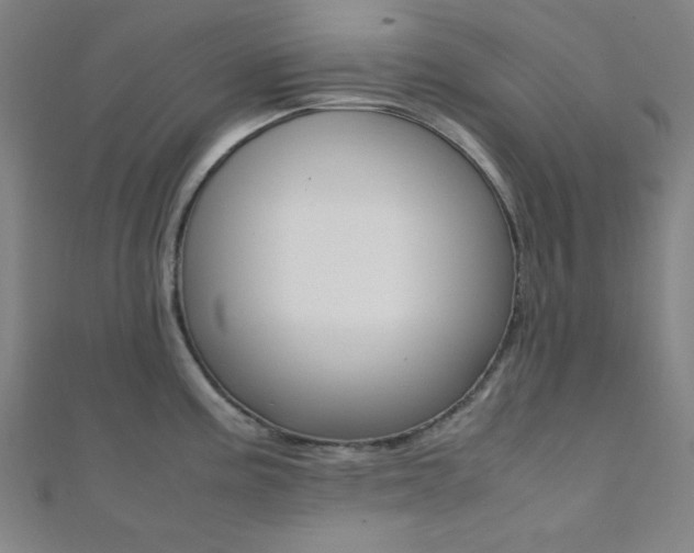 X0000112111195200908041145